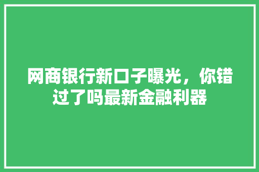 网商银行新口子曝光，你错过了吗最新金融利器
