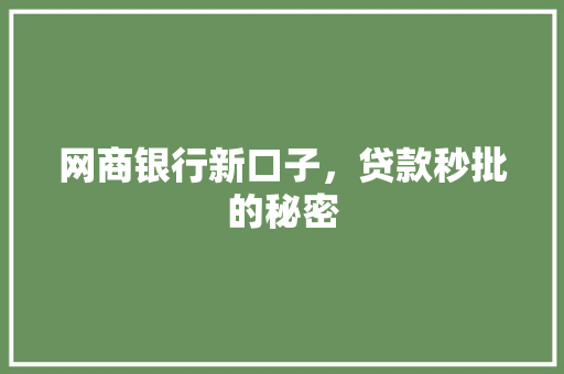 网商银行新口子，贷款秒批的秘密