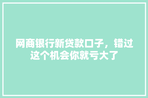 网商银行新贷款口子，错过这个机会你就亏大了