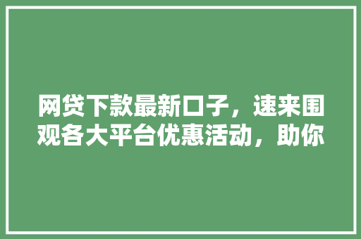 网贷下款最新口子，速来围观各大平台优惠活动，助你轻松借到钱