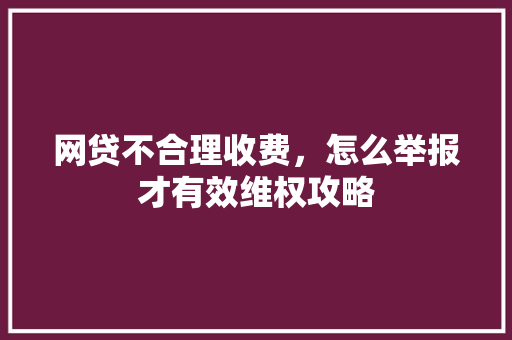 网贷不合理收费，怎么举报才有效维权攻略