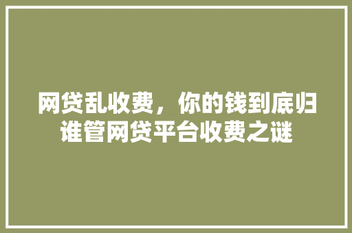 网贷乱收费，你的钱到底归谁管网贷平台收费之谜