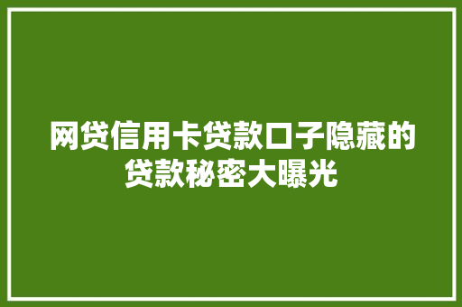 网贷信用卡贷款口子隐藏的贷款秘密大曝光
