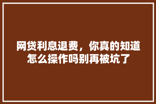 网贷利息退费，你真的知道怎么操作吗别再被坑了