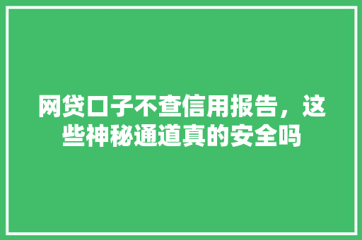 网贷口子不查信用报告，这些神秘通道真的安全吗