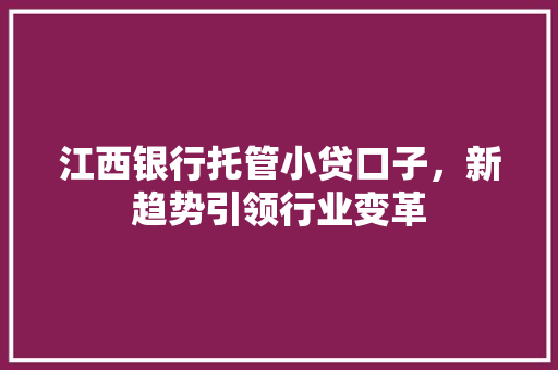 江西银行托管小贷口子，新趋势引领行业变革