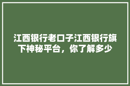 江西银行老口子江西银行旗下神秘平台，你了解多少