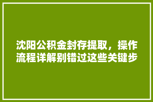 沈阳公积金封存提取，操作流程详解别错过这些关键步骤