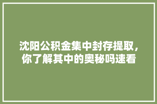沈阳公积金集中封存提取，你了解其中的奥秘吗速看