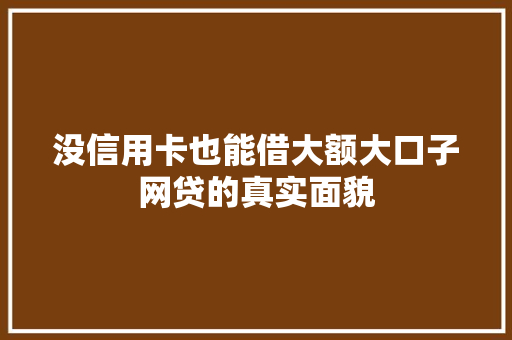 没信用卡也能借大额大口子网贷的真实面貌