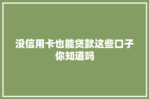 没信用卡也能贷款这些口子你知道吗