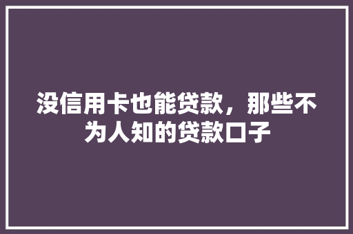 没信用卡也能贷款，那些不为人知的贷款口子