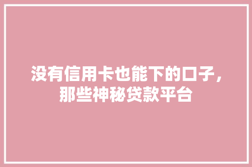 没有信用卡也能下的口子，那些神秘贷款平台