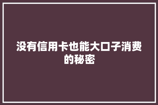 没有信用卡也能大口子消费的秘密