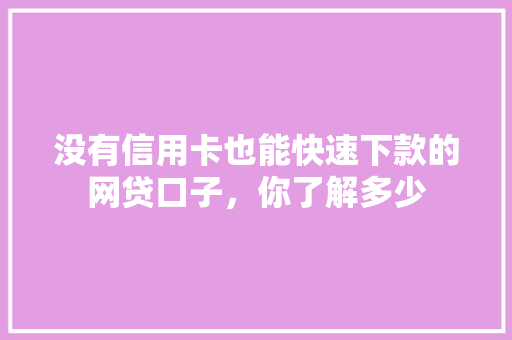 没有信用卡也能快速下款的网贷口子，你了解多少