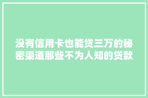 没有信用卡也能贷三万的秘密渠道那些不为人知的贷款方法