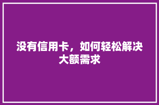 没有信用卡，如何轻松解决大额需求