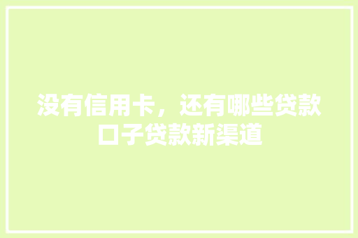 没有信用卡，还有哪些贷款口子贷款新渠道
