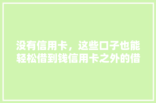 没有信用卡，这些口子也能轻松借到钱信用卡之外的借款途径