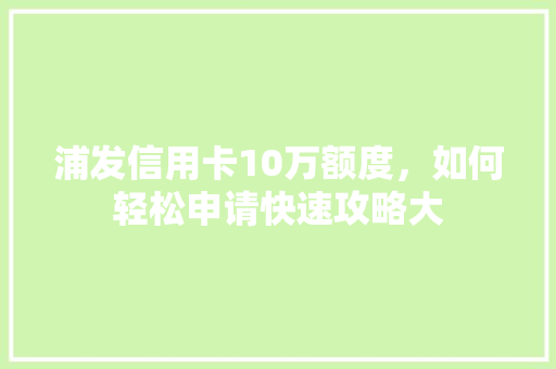 浦发信用卡10万额度，如何轻松申请快速攻略大