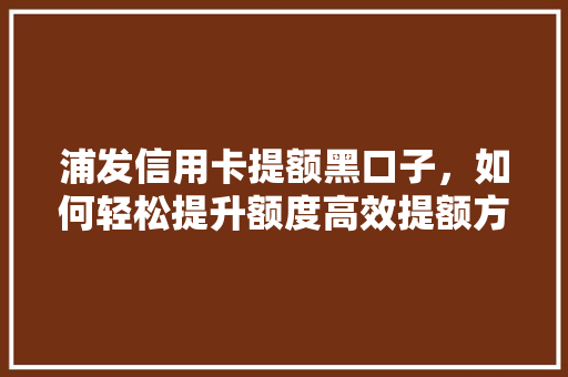 浦发信用卡提额黑口子，如何轻松提升额度高效提额方法