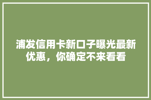 浦发信用卡新口子曝光最新优惠，你确定不来看看