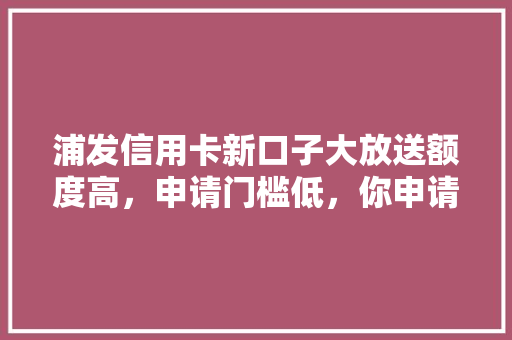 浦发信用卡新口子大放送额度高，申请门槛低，你申请了吗