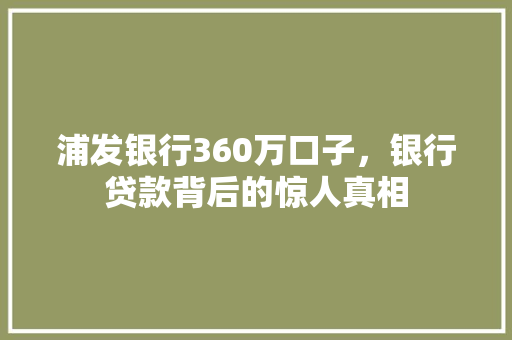 浦发银行360万口子，银行贷款背后的惊人真相