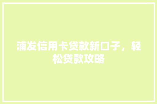 浦发信用卡贷款新口子，轻松贷款攻略