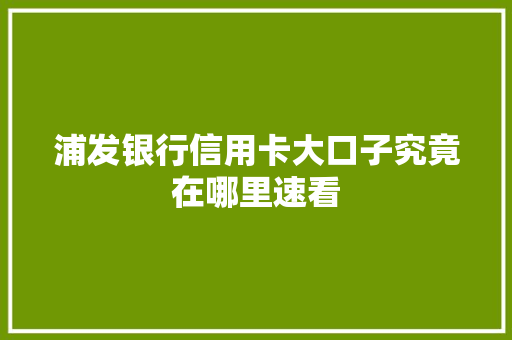 浦发银行信用卡大口子究竟在哪里速看