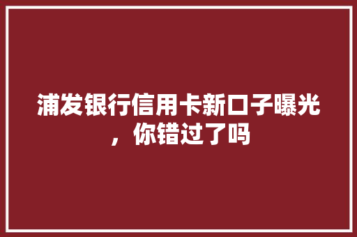 浦发银行信用卡新口子曝光，你错过了吗