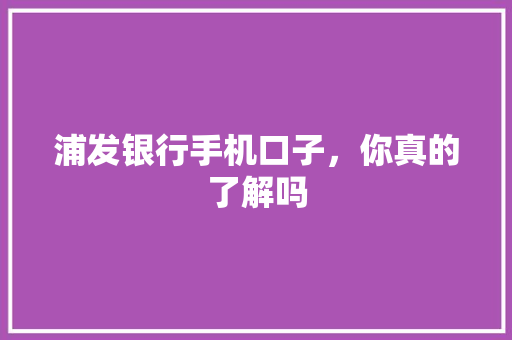 浦发银行手机口子，你真的了解吗