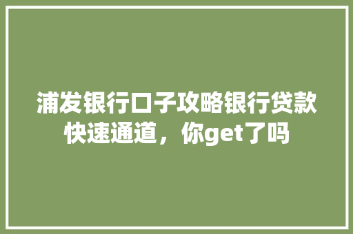 浦发银行口子攻略银行贷款快速通道，你get了吗
