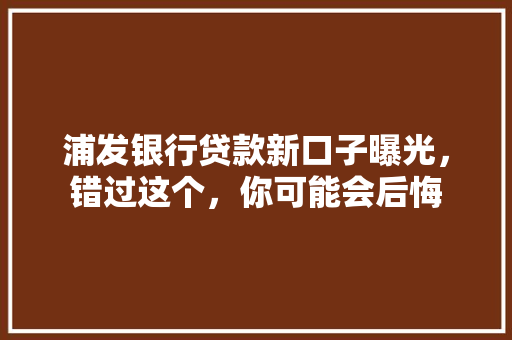 浦发银行贷款新口子曝光，错过这个，你可能会后悔