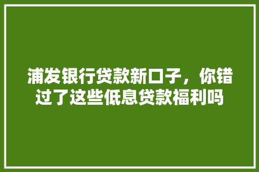 浦发银行贷款新口子，你错过了这些低息贷款福利吗