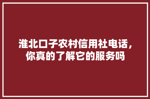 淮北口子农村信用社电话，你真的了解它的服务吗