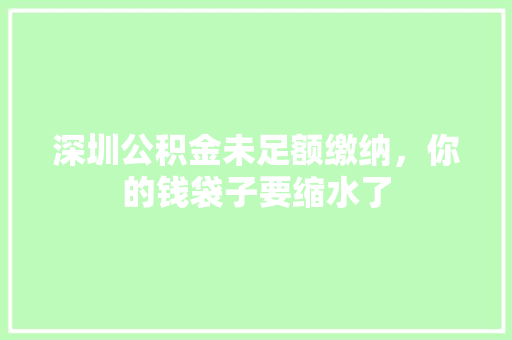 深圳公积金未足额缴纳，你的钱袋子要缩水了