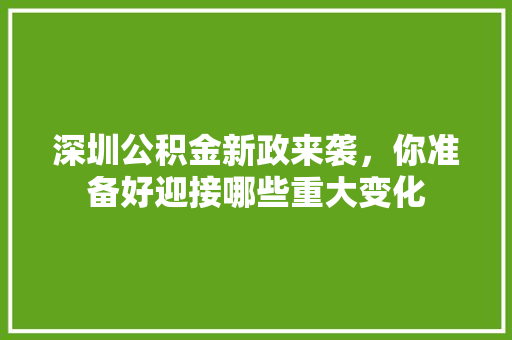 深圳公积金新政来袭，你准备好迎接哪些重大变化
