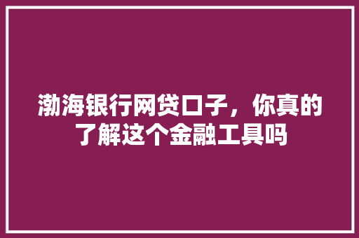 渤海银行网贷口子，你真的了解这个金融工具吗
