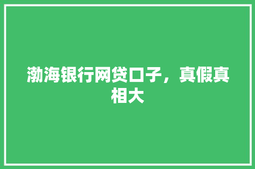 渤海银行网贷口子，真假真相大