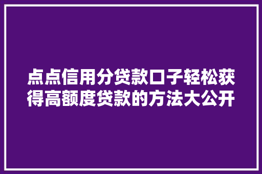 点点信用分贷款口子轻松获得高额度贷款的方法大公开