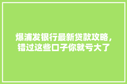 爆浦发银行最新贷款攻略，错过这些口子你就亏大了
