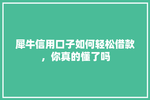 犀牛信用口子如何轻松借款，你真的懂了吗
