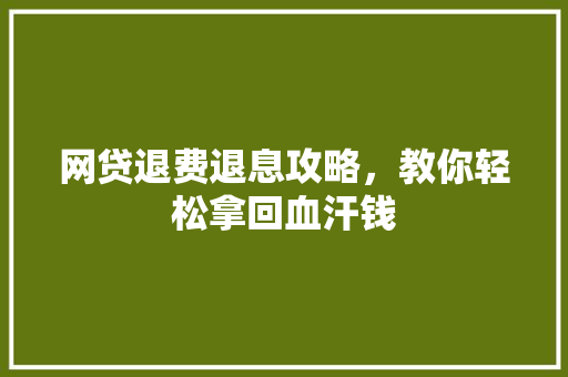 网贷退费退息攻略，教你轻松拿回血汗钱