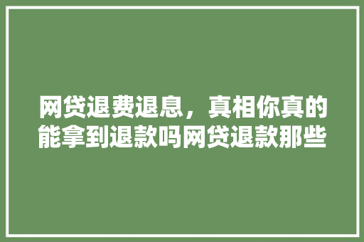 网贷退费退息，真相你真的能拿到退款吗网贷退款那些事儿