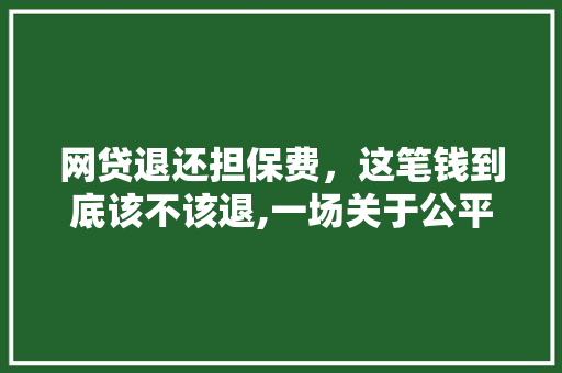 网贷退还担保费，这笔钱到底该不该退,一场关于公平与正义的讨论