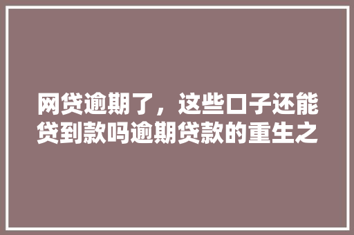网贷逾期了，这些口子还能贷到款吗逾期贷款的重生之路