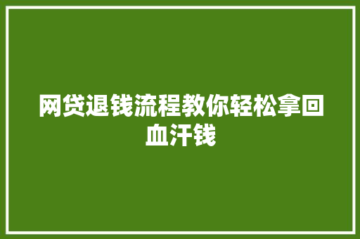 网贷退钱流程教你轻松拿回血汗钱
