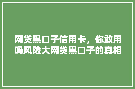 网贷黑口子信用卡，你敢用吗风险大网贷黑口子的真相与风险