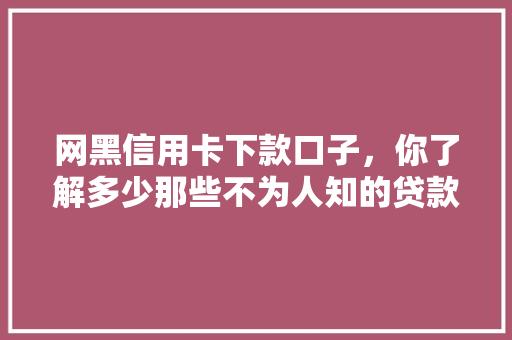 网黑信用卡下款口子，你了解多少那些不为人知的贷款秘密